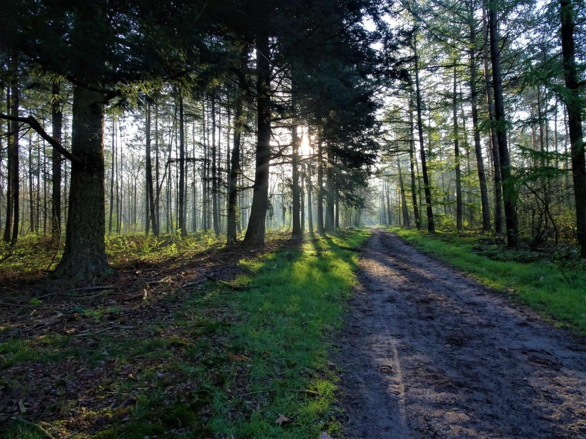Veluwe Park Reewold Chalet Infinity พุทเทิน ภายนอก รูปภาพ