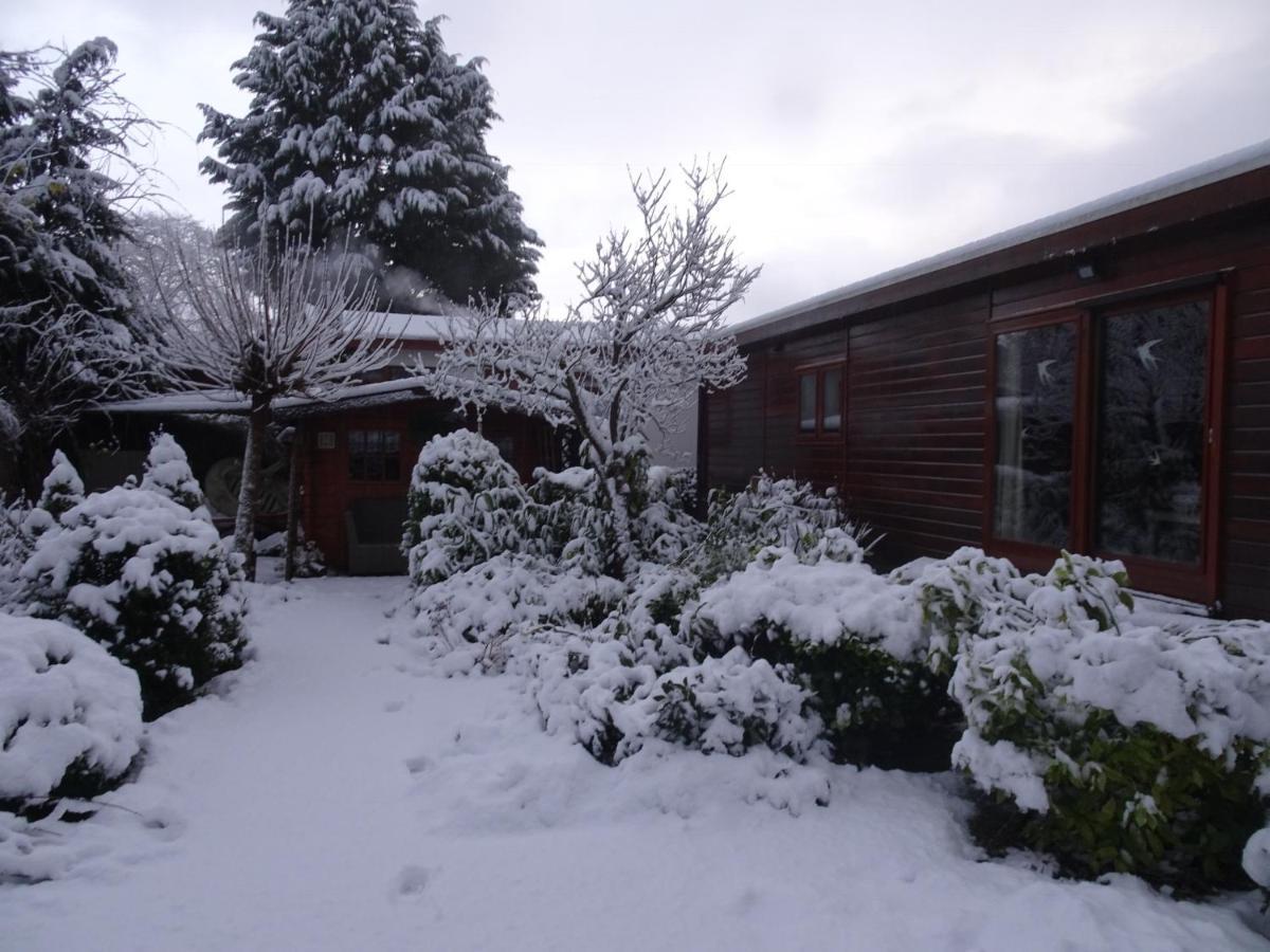 Veluwe Park Reewold Chalet Infinity พุทเทิน ภายนอก รูปภาพ